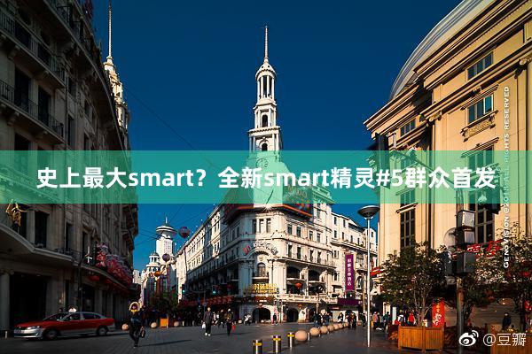 史上最大smart？全新smart精灵#5群众首发