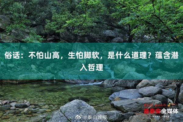 俗话：不怕山高，生怕脚软，是什么道理？蕴含潜入哲理