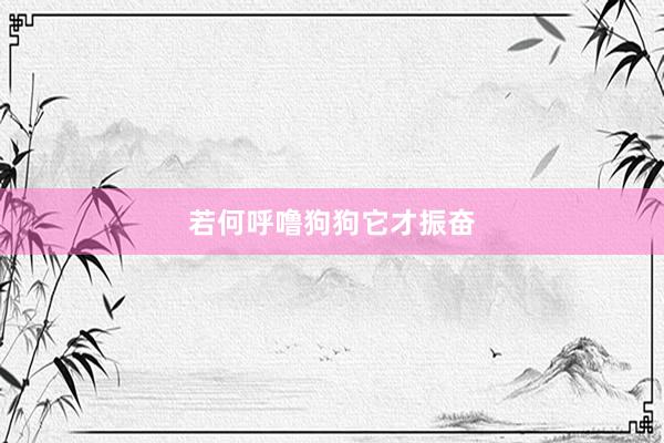 若何呼噜狗狗它才振奋